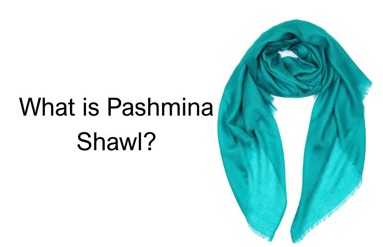 What is Pashmina Shawl? Meaning, Origin, & Special Characteristics