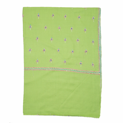 Embroidered Pashmina Stole - Neon Green & Blue