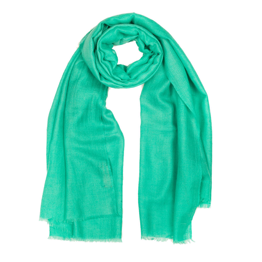 Plain Pashmina Stole - Arcadia