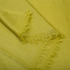 Plain Pashmina Stole - Green Grape